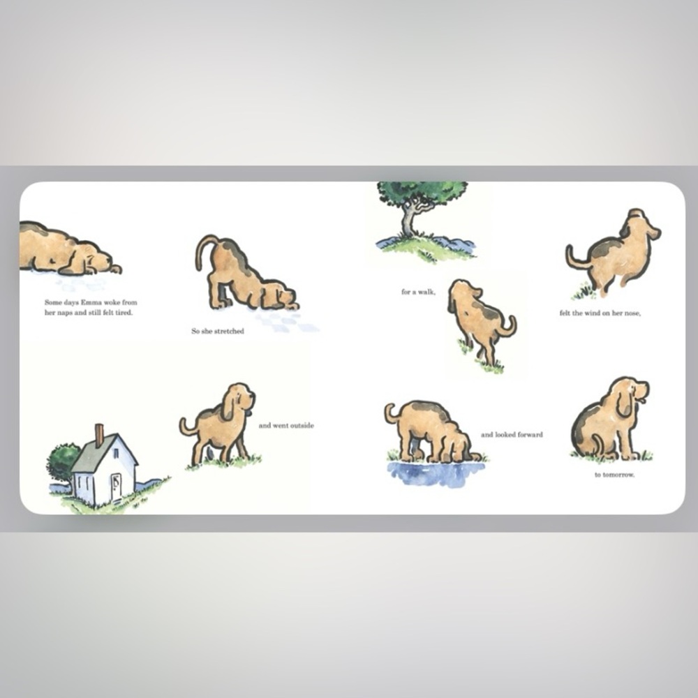 Children’s Book Emma Full of Wonders by Elisha Cooper - Picture 6 of 7